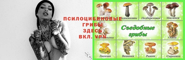 дживик Новозыбков