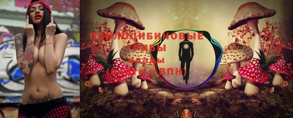 амфетамин Няндома