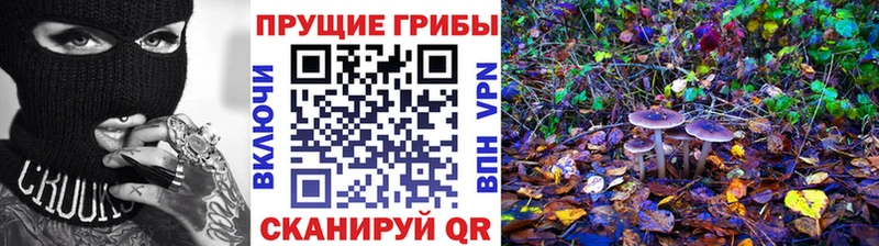 Галлюциногенные грибы ЛСД Кувандык